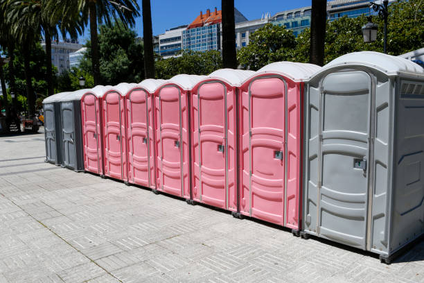 Best Portable Toilets for Parks and Recreation Areas  in Erwinville, LA